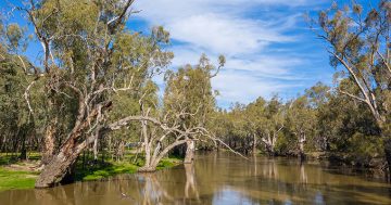 Call for feedback on water efficiency projects