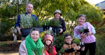 Wagga schools join forces to preserve green future by planting trees