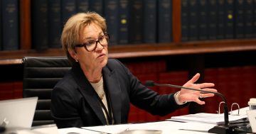 'A complete misunderstanding of their audience': Griffith MP calls for reversal of Seven programming loss