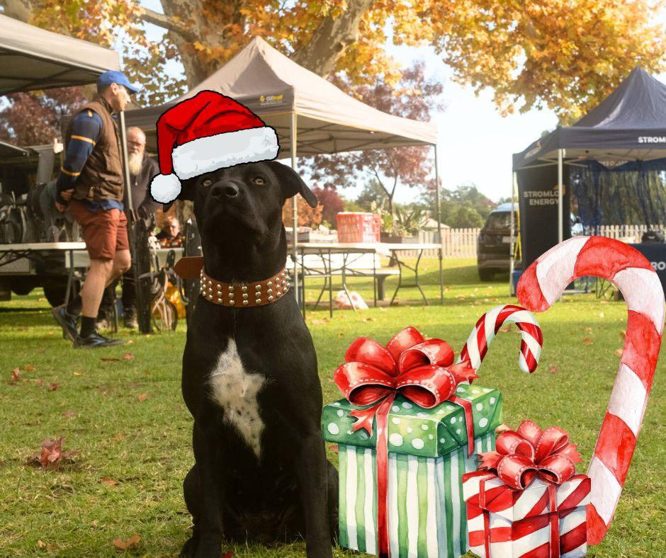 Christmas in July Markets