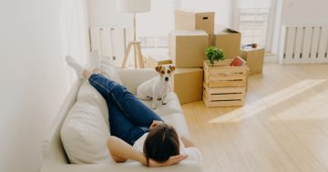 Pet-friendly, eviction-proof? What you should know about the big rental law shake-up