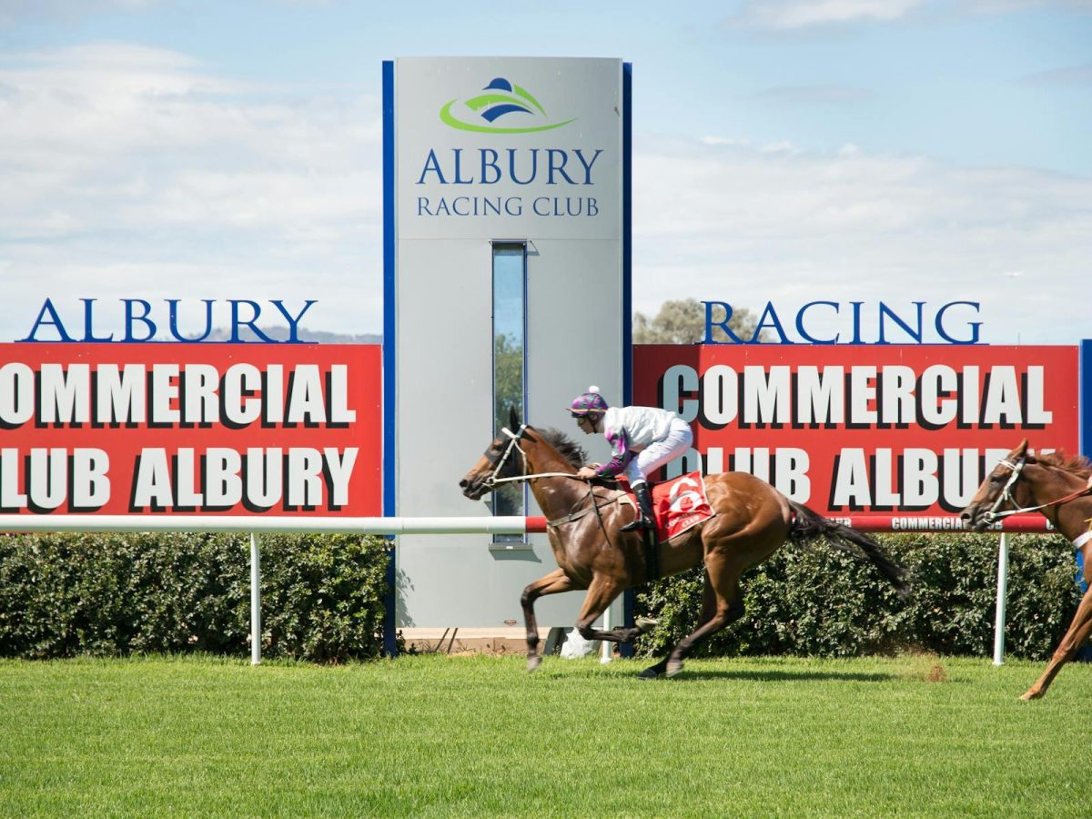 Winter Racing – Albury Racing Club