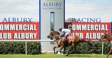 Things to do in the Riverina this week (15 - 21 August)