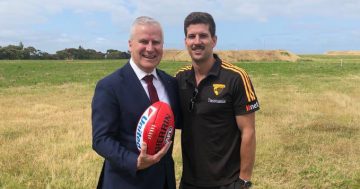 Three-time premiership Hawk calls time on incredible career