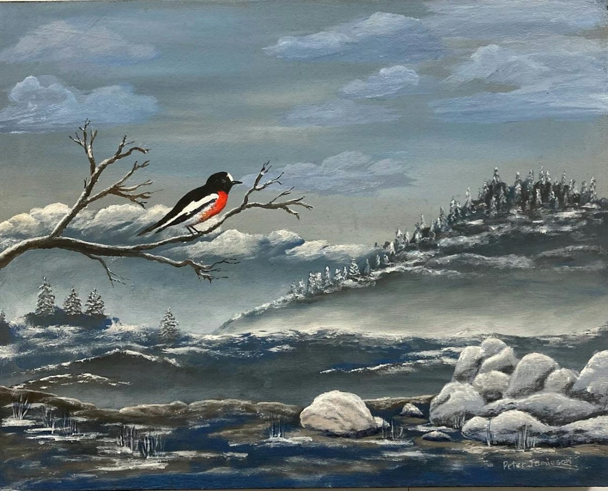 Winter Lumiere Exhibition