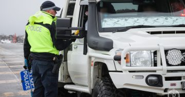 More than 1000 drivers stung for risky driving, speeding in the Snowies