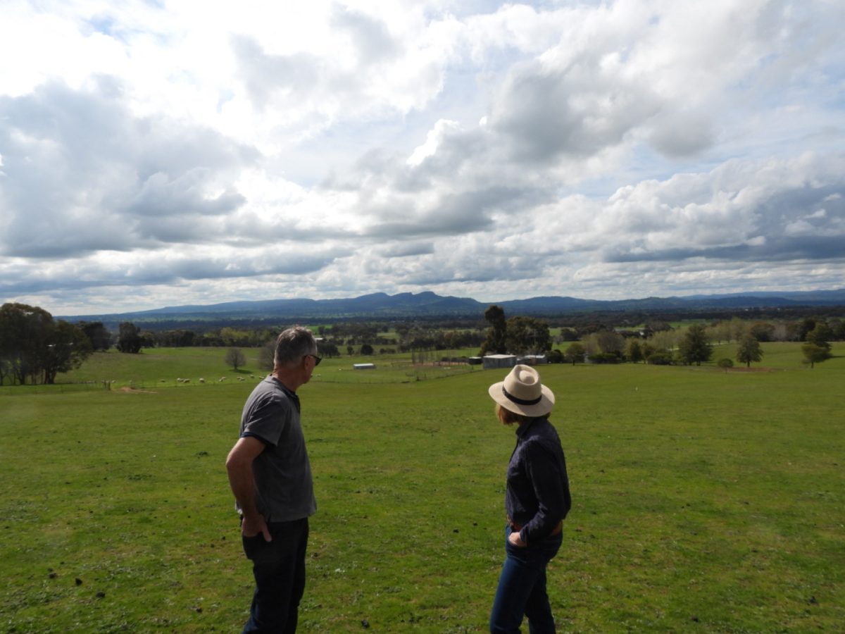 a man and a woman on their rural property, looking towards the distant mountain range
