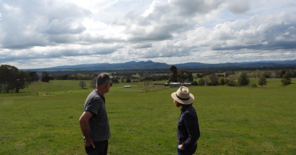 Community pushback grows across two shires as Table Top wind farm proposal sparks outcry