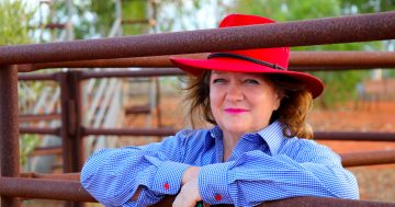 Billionaire Gina Rinehart tells Wagga that net zero's causing a huge decline in investment in Australia
