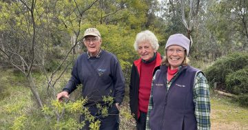 30 years of Wirraminna: How three locals turned a Burrumbuttock bush block into a national treasure