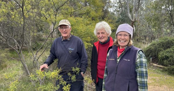 30 years of Wirraminna: How three locals turned a Burrumbuttock bush block into a national treasure
