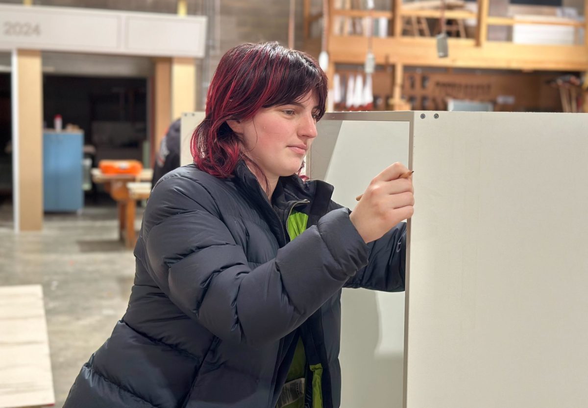 woman doing carpentry 