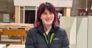 Carpenter carving her own path in Wagga as women chip away at tradie stereotype