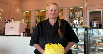 Bake the world a better place, one slice at a time, at Lynda's cake-decorating classes