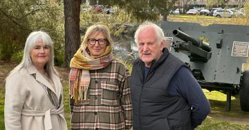 Petition launched to remove 'representation of war' from peace park