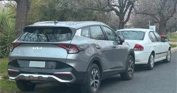 Parking on nature strips can incur a fine and cause environmental damage, warns council