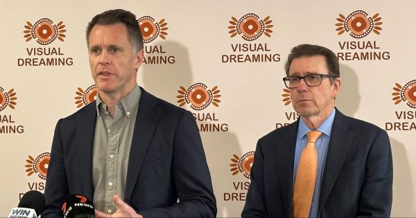 Premier says there'll be more renewable energy projects despite Wagga protests