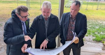 Harris Park set to receive 'much needed' facility upgrades