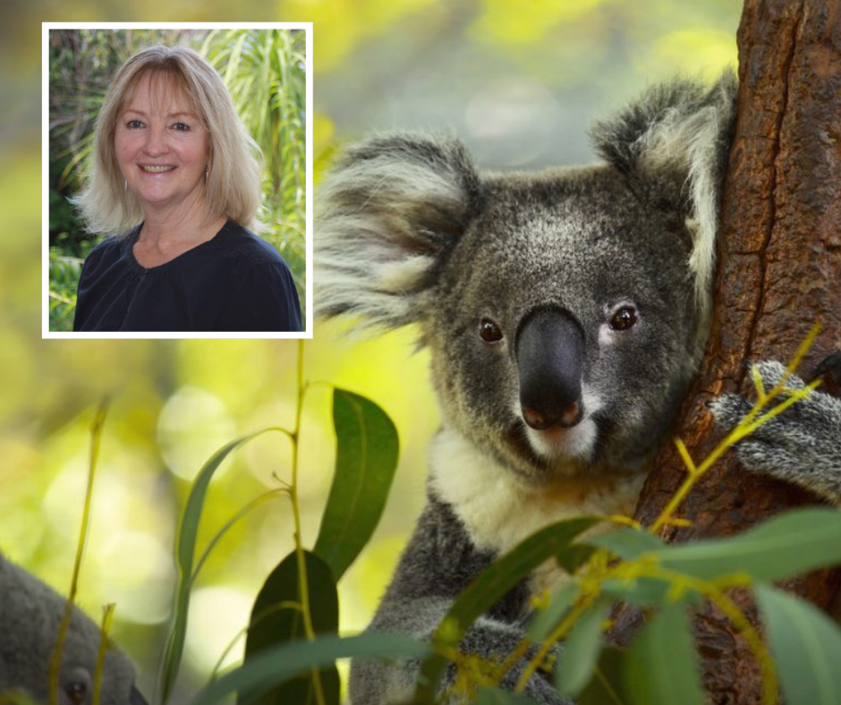 Wagga Wagga City Councillor Jenny McKinnon has long been an advocate for koalas.