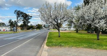 Court battle looms as Griffith Council rejects 21-unit housing complex near hospital