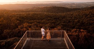 An 'abomination’: Gerogery and Table Top residents mobilise against Yambla Range Wind Farm plan
