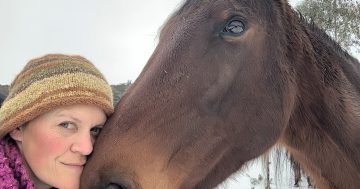 Former Army officer uses horses to heal veterans and first responders
