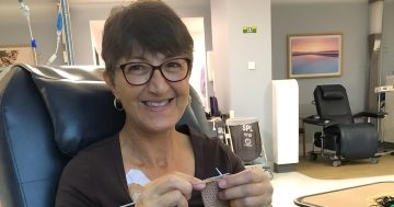 Griffith trauma teddy knitter named 2025 Riverina Volunteer of the Year