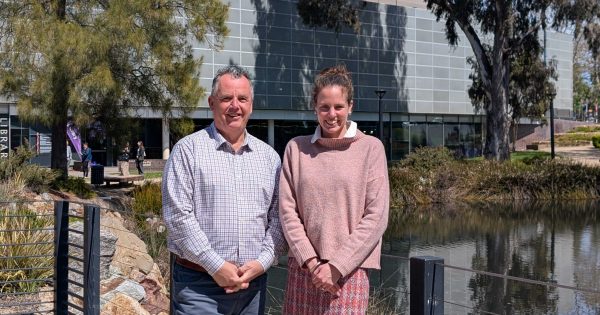 Georgie Davies re-elected deputy mayor of female-majority Wagga City Council