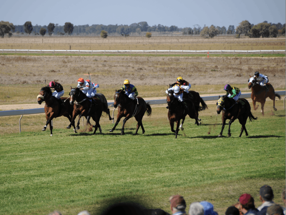 Jerilderie Gold Cup Races
