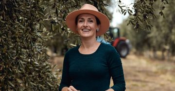 Entrepreneur who ditched big supermarkets to open permanent farmers' market in Wagga