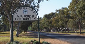 Man dies after ute crashes into tree in Condobolin