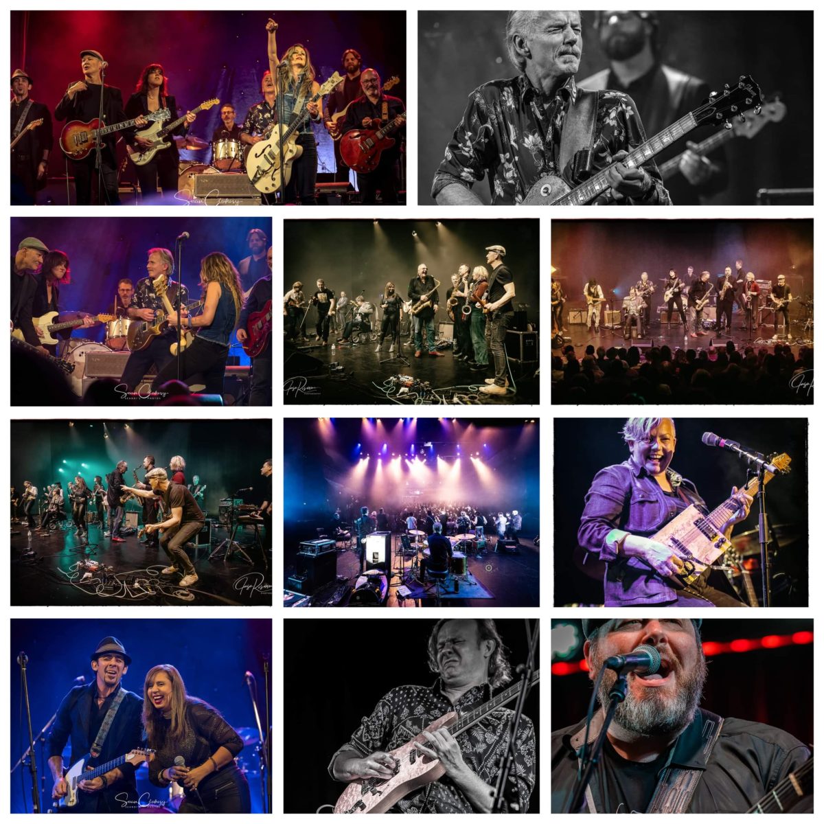 Blues Guitar Roadshow
