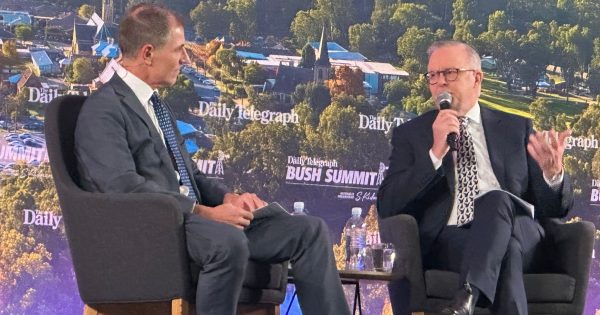 Why do politicians come to Wagga if they don’t want to talk to locals?