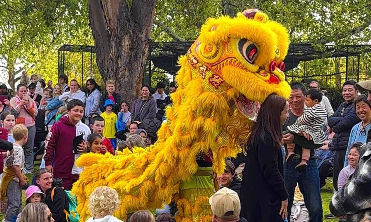 The festival will have live performances, such as lion dances. 