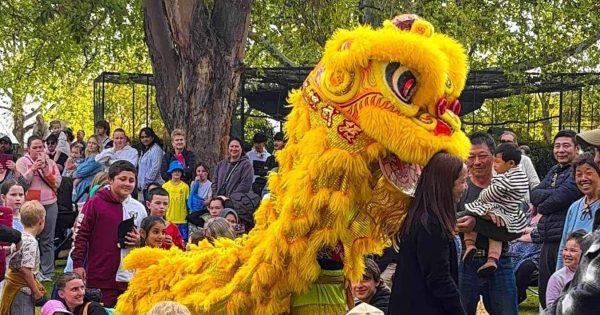 Leeton Moon Fest returns to celebrate different cultures