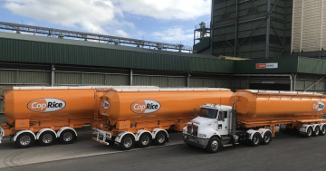 'Disappointing': SunRice Group suddenly closes Coleambally animal feed mill