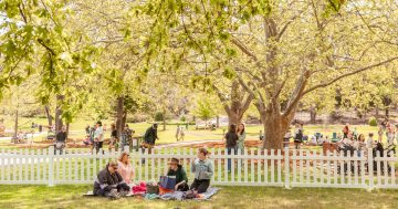 Things to do in the Riverina this week (26 September – 2 October)