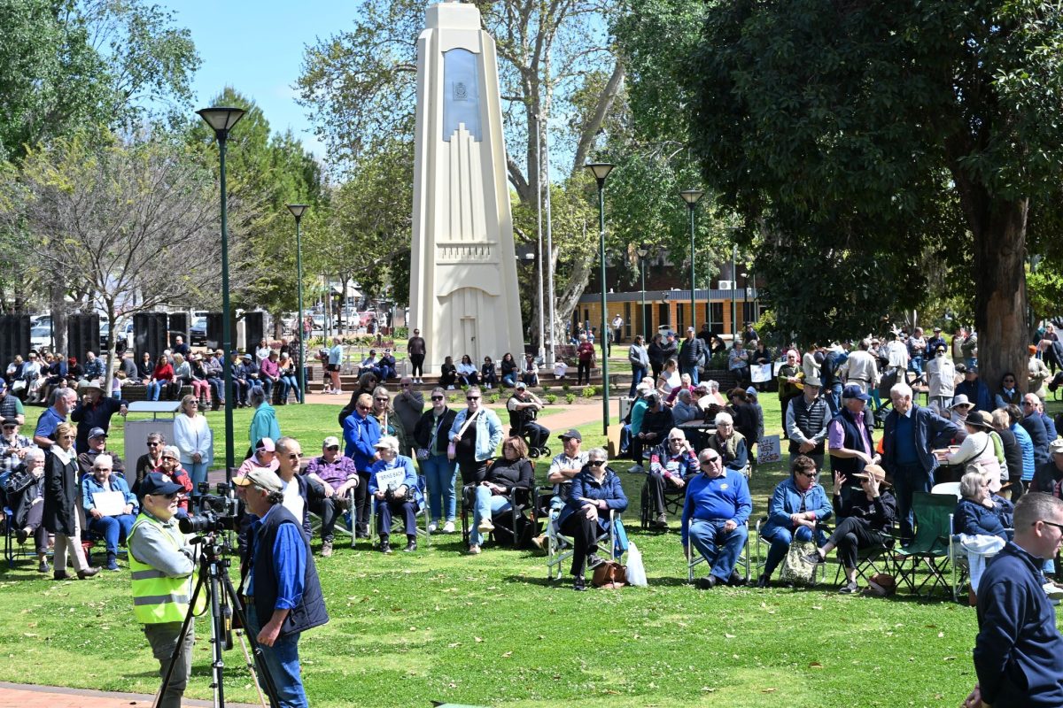 Protest rally crowd