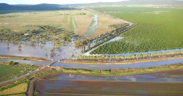 Community invited to give feedback on Leeton Shire Council's draft flood study