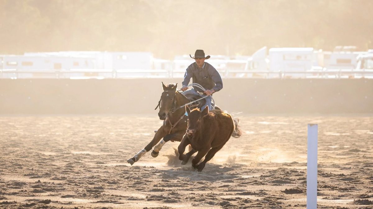 Marrar Madness Wrangler Xtreme Broncs