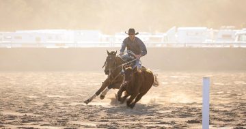 Things to do in the Riverina this week (12 - 18 September)