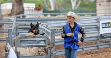 Young gun Thomas will use winnings to help Dad restore Holden ute