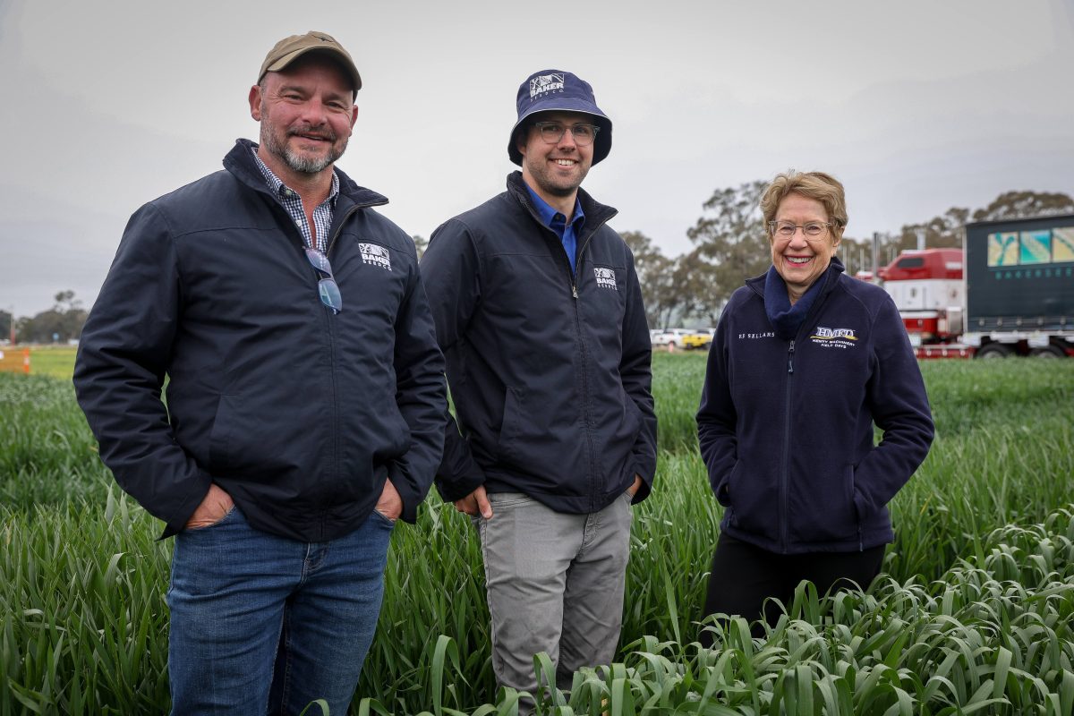 Woman and two men standing in crop.