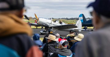 Things to do in the Riverina this week (19 – 25 September)