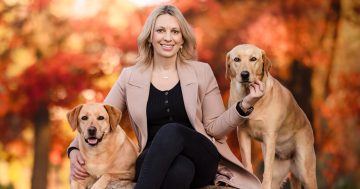 Animal intuition helping to break down barriers in therapy sessions