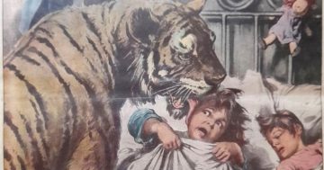 Riverina Rewind: The escaped tiger that licked a sleeping child in Narrandera