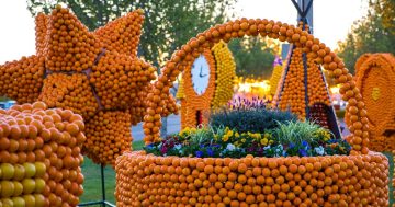 Things to do in the Riverina this week (24 - 30 October)