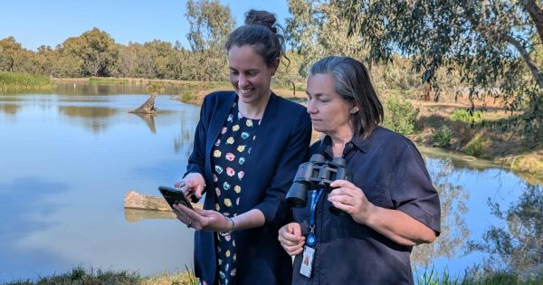 Get your binoculars ready for the 2025 Aussie Bird Count
