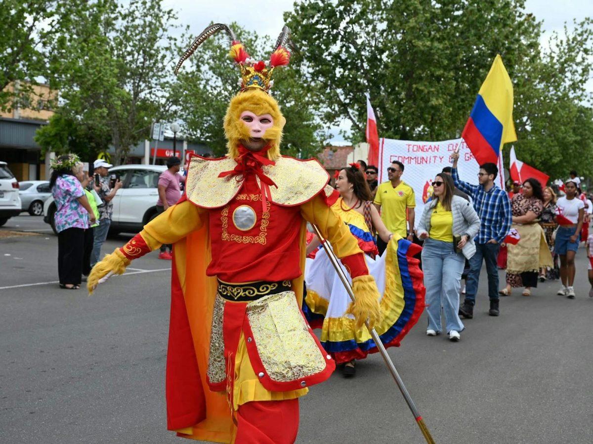 Multicultural Festival Of Griffith