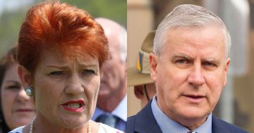 ‘Not taking my job’: McCormack stares down One Nation surge